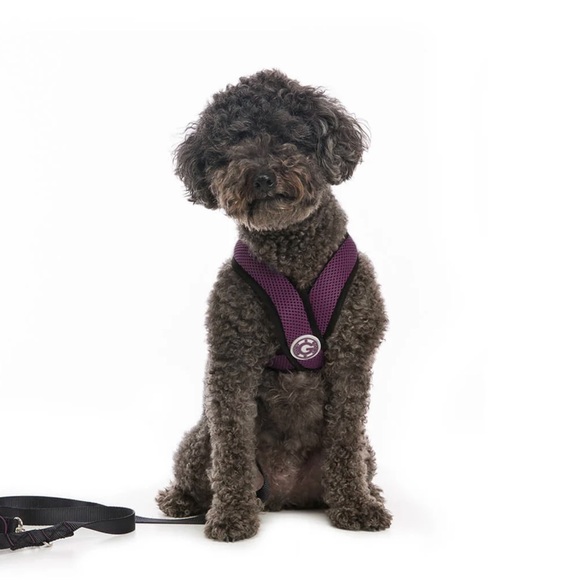 Gooby Other - GOOBY ‘X Comfort Harness’ in Purple